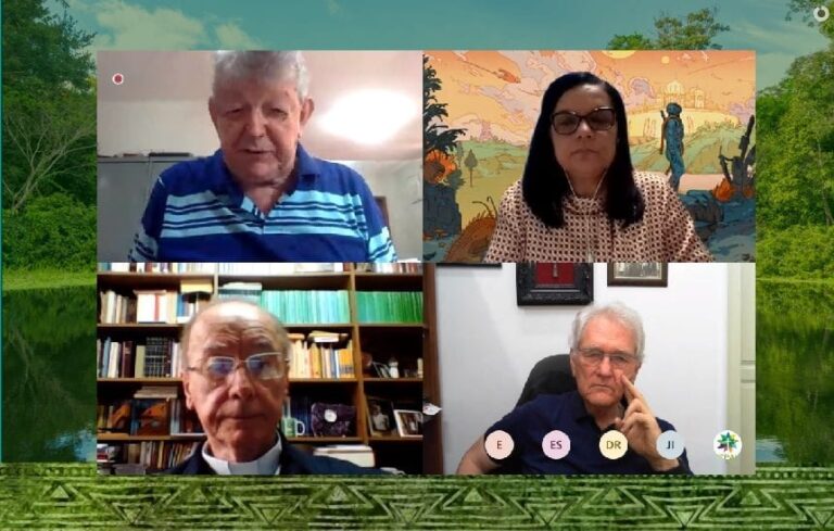 Retrospectiva 2021: Mobilizações, incidência e articulação – o ano da Comissão Especial para a Amazônia