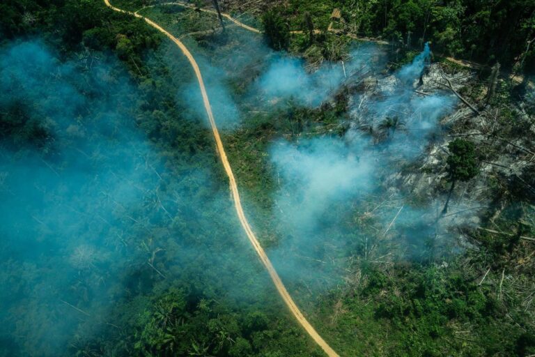 Em nota técnica, CIMI aponta que medida da FUNAI que retira proteção de terra indígenas não homologadas é inconstitucional