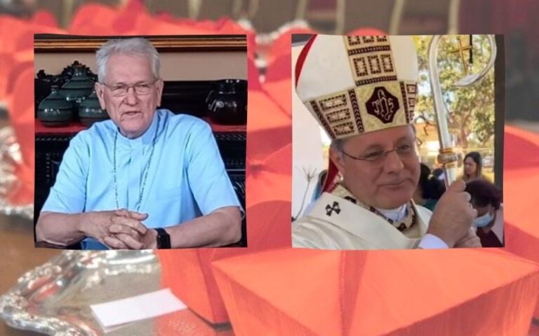 Dom Leonardo Steiner e dom Paulo Cezar Costa revelam surpresa com escolha do Papa Francisco para o cardinalato